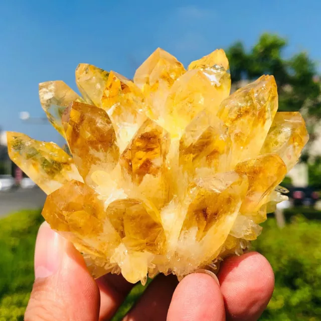 200g+ New Find Yellow Phantom Quartz Crystal Cluster Mineral Specimen Gem Reiki