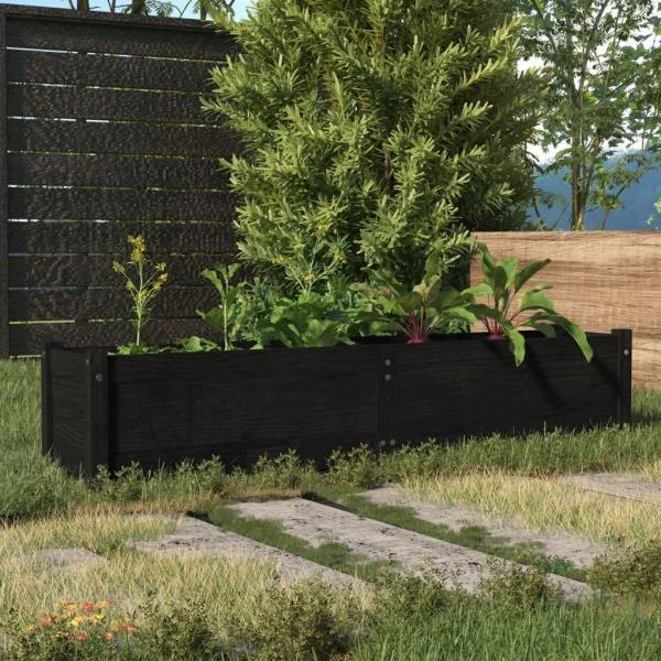 Garten-Hochbeet Schwarz 150x31x31 cm Massivholz Kiefer