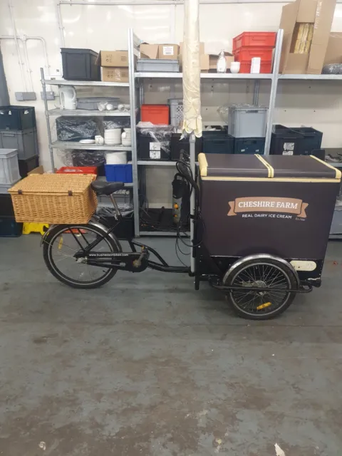 500w Electric Tricycle Ice Cream Freezer Cart Bike Bicycle With Water  System
