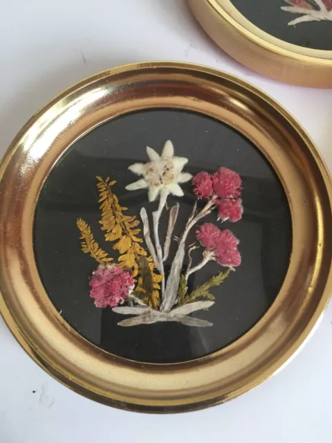 Vintage Framed Dried Pressed Flowers,Reichlin Switzerland, Set of 2  Miniatures