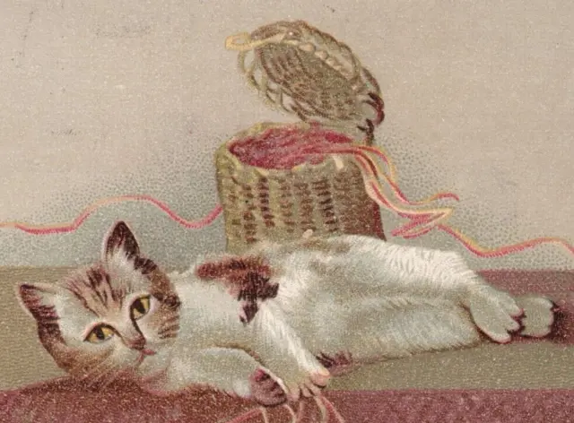 1880s Dieter's Crown Baking Powder Adorable Cat & Basket Victorian Trade Card