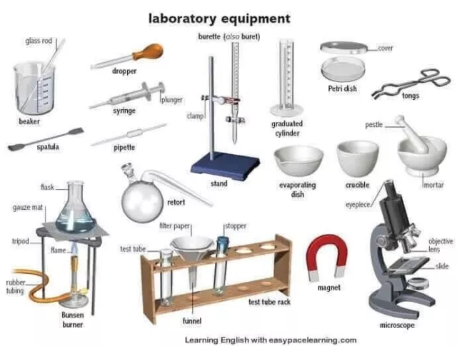 20 Equipos comunes de laboratorio de ciencias escolares