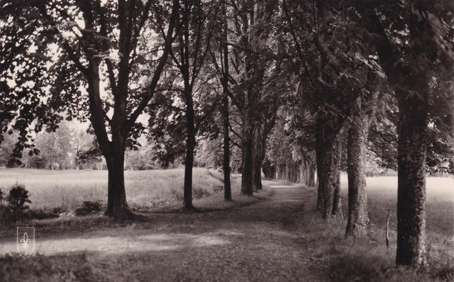 Cpsm Pougues-Les-Eaux (Nievre) Allee Des Sighirs Postcard... (1967)