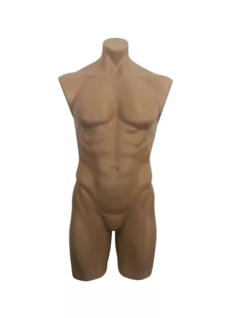 Plastic Male Mannequin Torso - Skin Tone