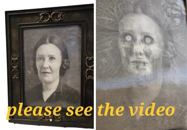 Gemmy ORIG Scary  Changing TRIPPY ERIE 3D Haunted Talking Portrait Picture Photo