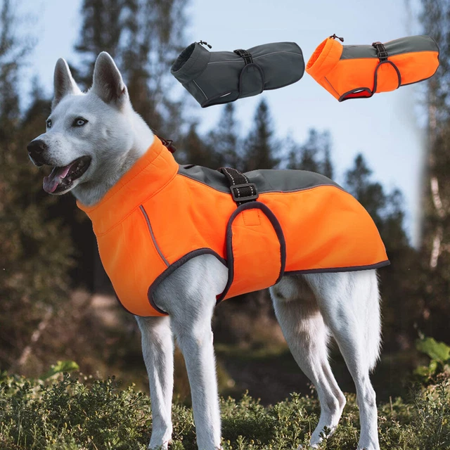 Manteau Polaire Pour Chien - Veste D'hiver Chaude à Quatre Pattes Avec Anneau En D | Pour Petit Chien, Taille S à XXL