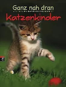 Ganz nah dran - Katzenkinder | Buch | Zustand akzeptabel