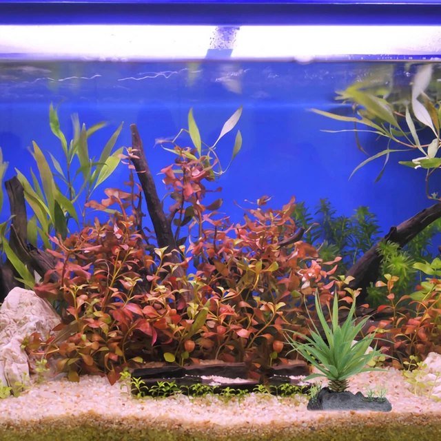 Pianta Acquatica Artificiale 40cm Pianta Artificiale Acquario 40 Cm - Decorazione Plastica Verde Con Base Ceramica Per Pesci Sfondo Acquario