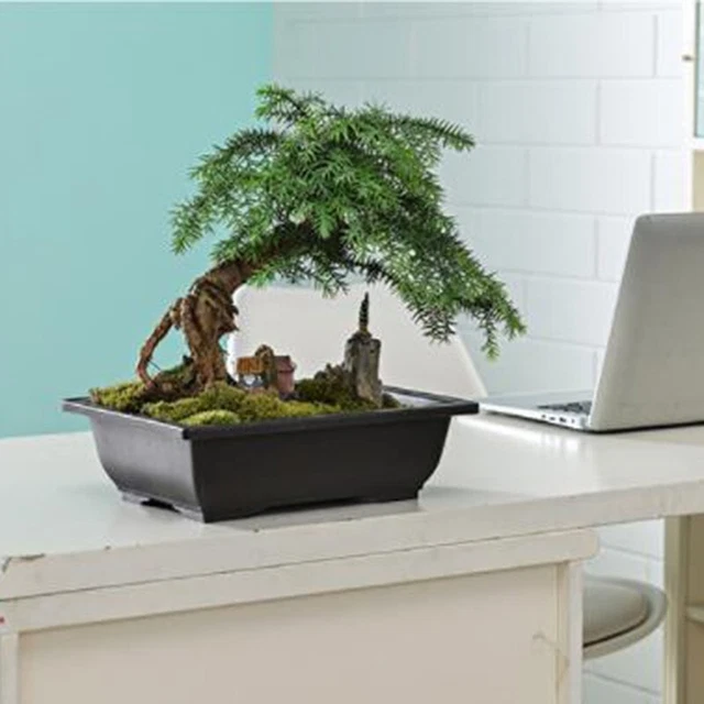Imitation pot de fleurs balcon plastique rectangle-bol bonsaï bassin pépinièr