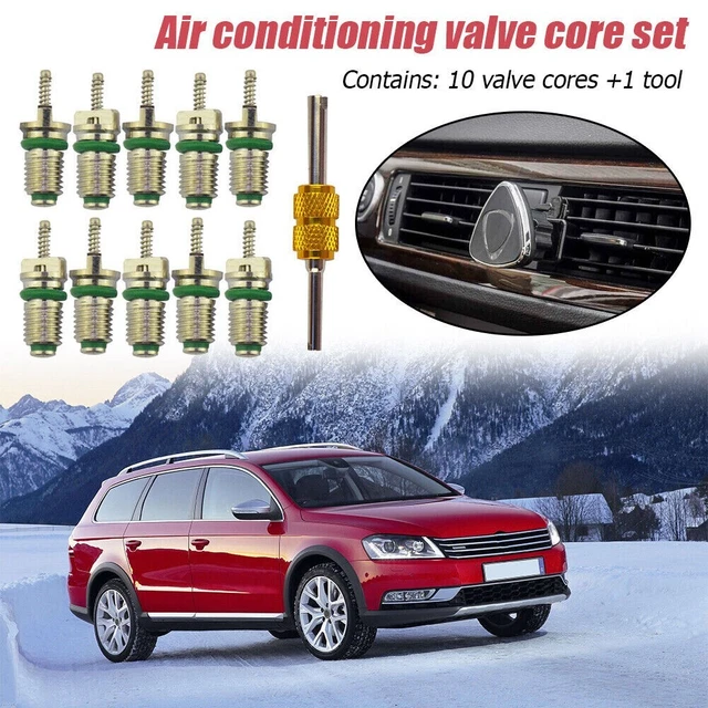 10* R134a Car A/C Valve Cores Air-Conditioning Valve Cores & Valve Core Remover