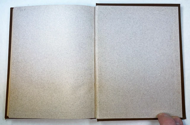RARE Book - The Right Spirit - 1885 by Lizzie Cottier - Insane Asylum Wife Abuse 8