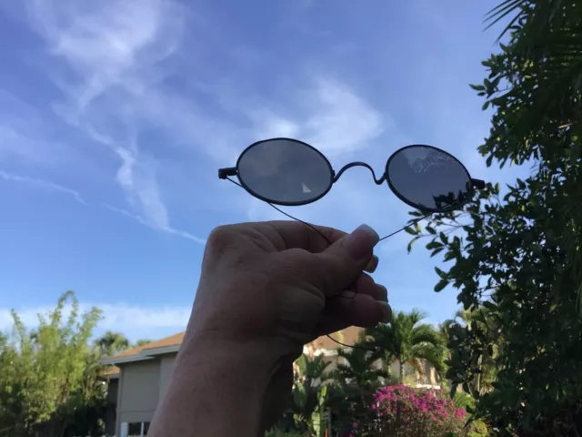 Antique 19th-20th Cent. Smoke Lens Sunglasses Spectacles Glasses and Case