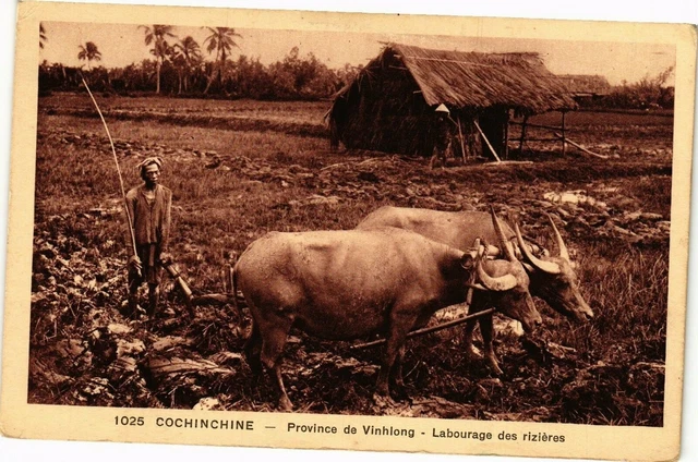 CPA AK VIETNAM Cochinchine - Province de Vinhlong (190130)