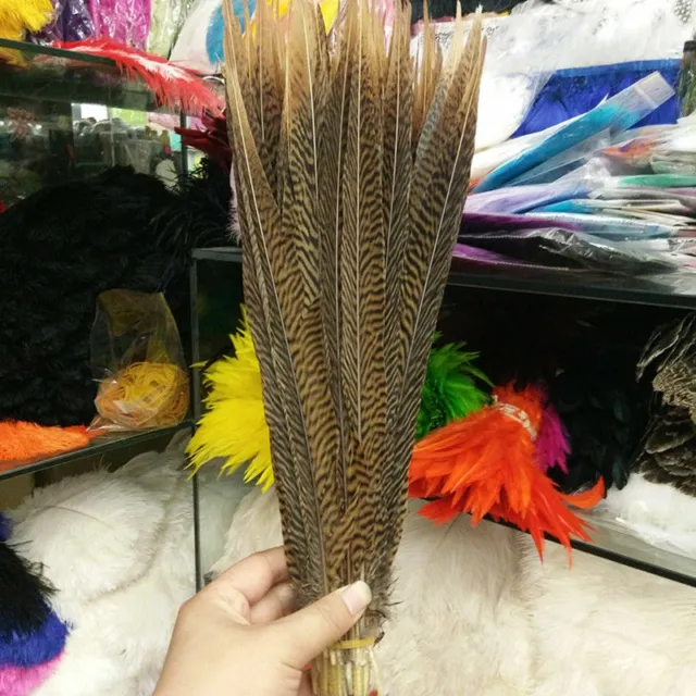 Wholesale 10/50/100pcs Natural Golden Pheasant Tail Feathers 4-30 inch/10-75 cm