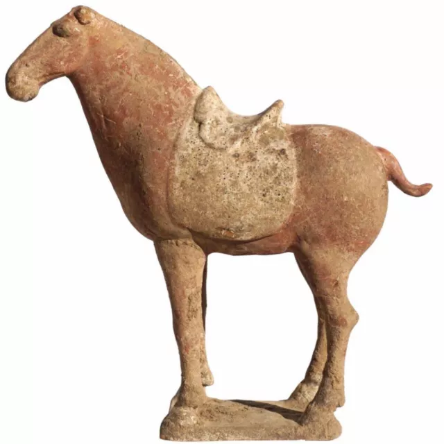 Chinese Tang Dynasty Terracotta Horse