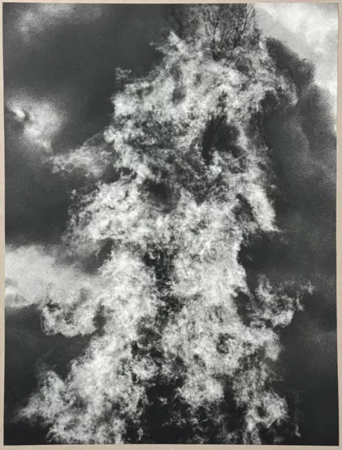 Jochen Lempert, Kleine Feuer 6, Photographie, 2007, handsigniert