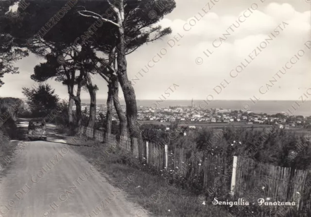 Senigallia panorama con automobile Ancona Cartolina