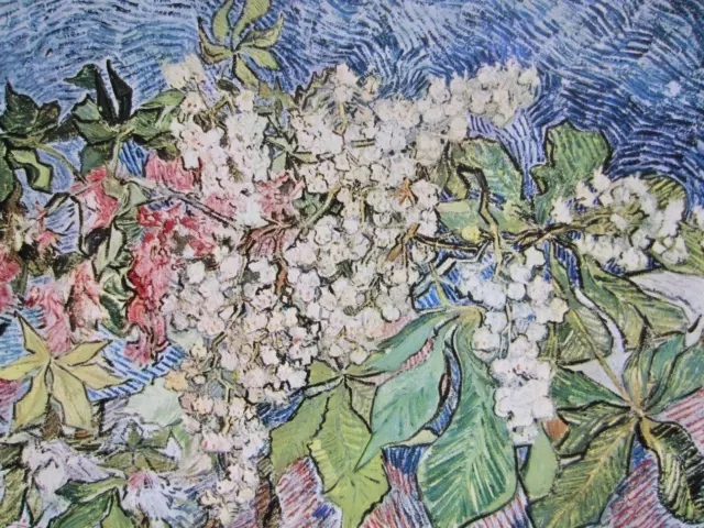 Van Gogh Vintage Colour Print 1957 Flowering Chestnut Blossom French Painting