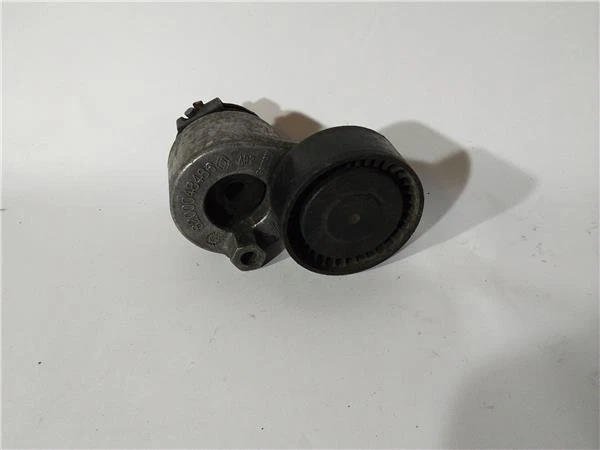 galet tendeur pour RENAULT CLIO II FASE (B CB0) 1.5 CHIEMSEE 289411