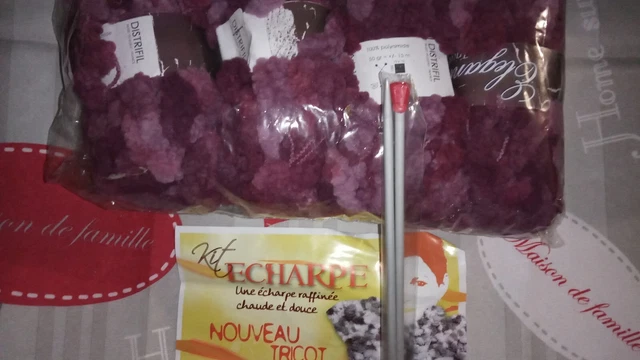 Kit de 4 Pelotes de Fil à tricoter 50g pour écharpes avec aiguilles - Neuf