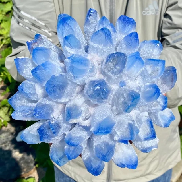 11LB New Find BLUE Phantom Quartz Crystal Cluster Mineral Specimen Healing 2