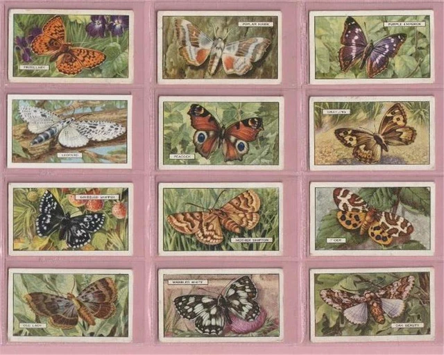 GALLAHER CIGARETTE CARDS Butterflies & Moths 1938 Set Of 48 Vg+++ In Sleeves £2.50 PicClick UK