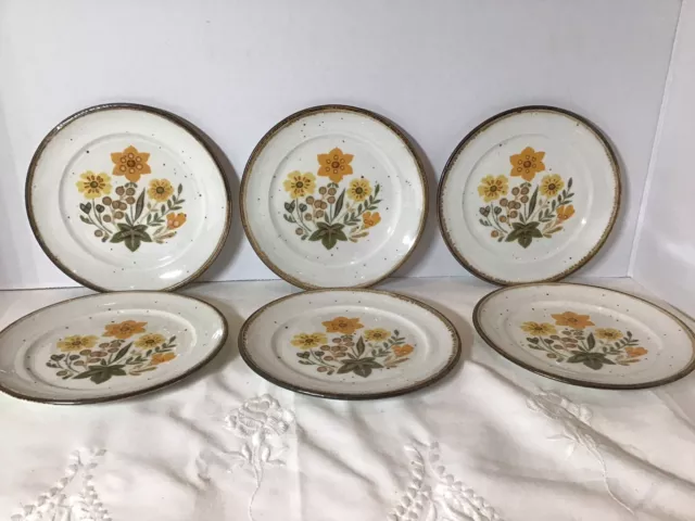 Johnson Brothers Vintage Mid Century Straw Hat Floral Tea Side Plates Set of 6