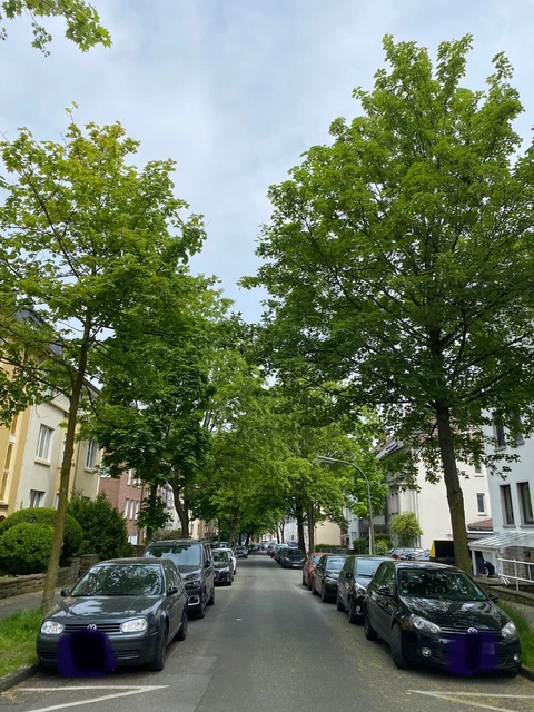 3-Zimmer Wohnung in Dortmund Stadtmitte zu verkaufen