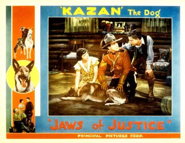 Jaws Of Justice Lobby Card Kazan The Wonder Dog 6 Old Photo