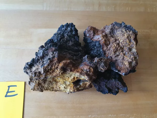 Chaga Pilz  Wildsammlung Karelien 2023  , 490g