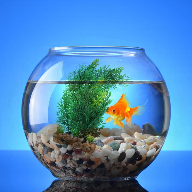 Acquario Paesaggio Foglia Erba Finta Acquario Artificiale Pianta Verde