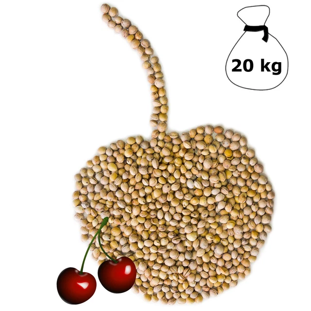 URALYT-U Granulés 280 G - Pour Calculs Rénaux/urinaires - 2 Boîtes - Exp. 2026