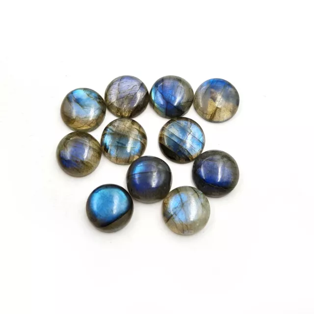 Natural Labradorite Round Cabochon Fire Loose Gemstone Lot 8 Pcs 13 MM 50 CT