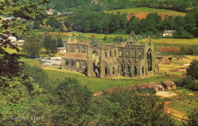 Postcard of TINTERN ABBEY,  Monmouthshire  - Never Posted