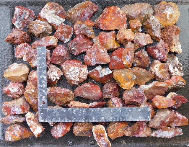 San Carlos Agate lapidary cabbing tumbling rough lot 20 lb 3 oz moss tube plume