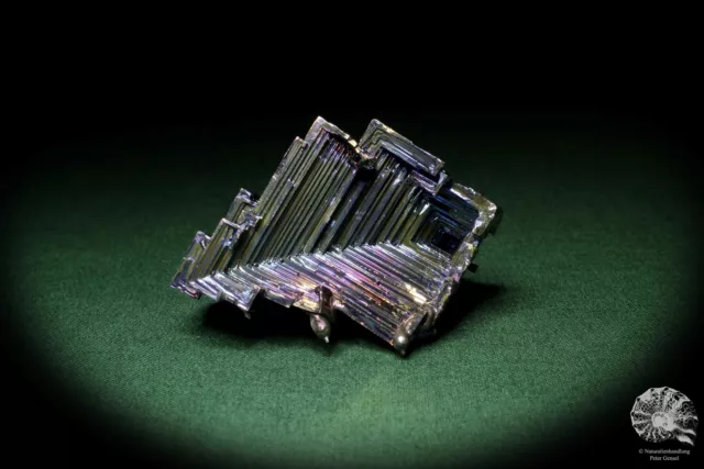 Wismut XX Großbritannien Stufe Mineral Sammlung Kristall Deko deco