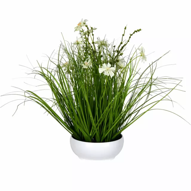 Vickerman 16.5" Artificial Potted Cream Cosmos And Green Grass