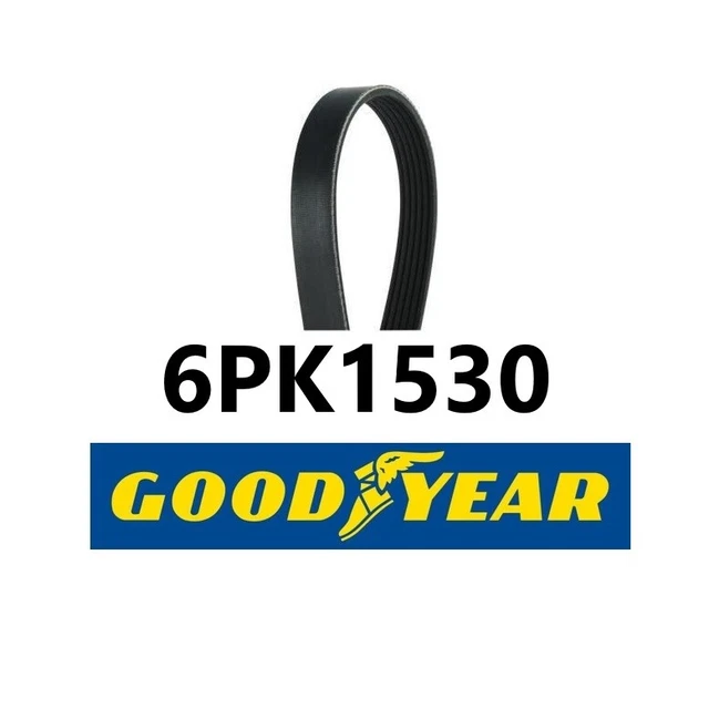 Cinghia Poly-V 6PK1320 1320,0mm da DAYCO