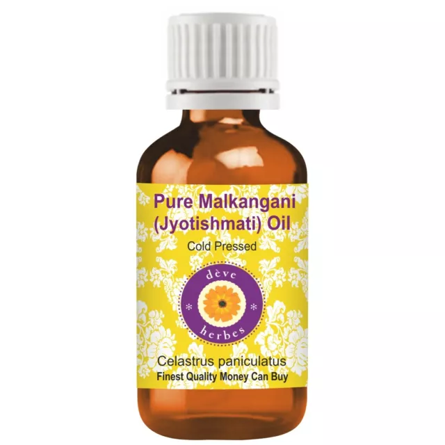 Pure Malkangani (Malkangani/Jyotishmati) Oil (Celastrus paniculatus)Cold Pressed