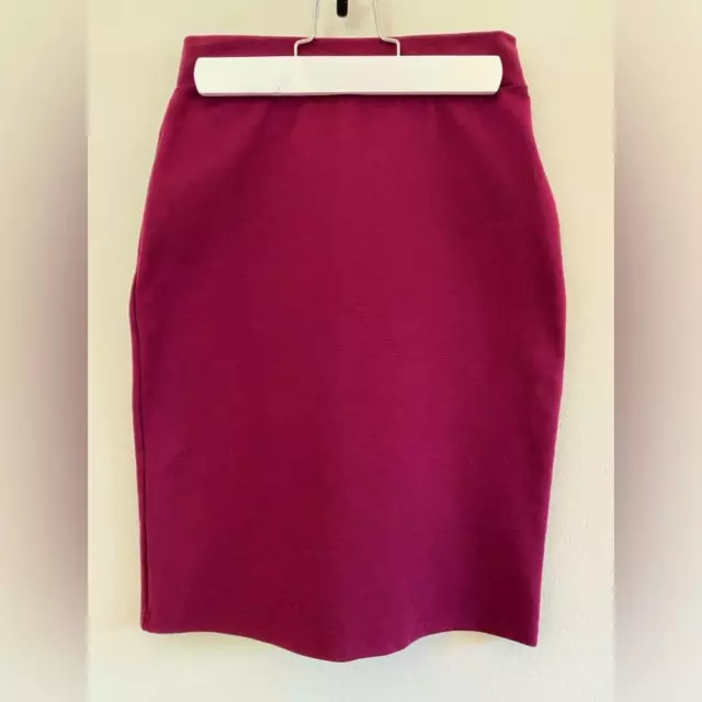 Charlotte Russe Burgundy Mini Skirt