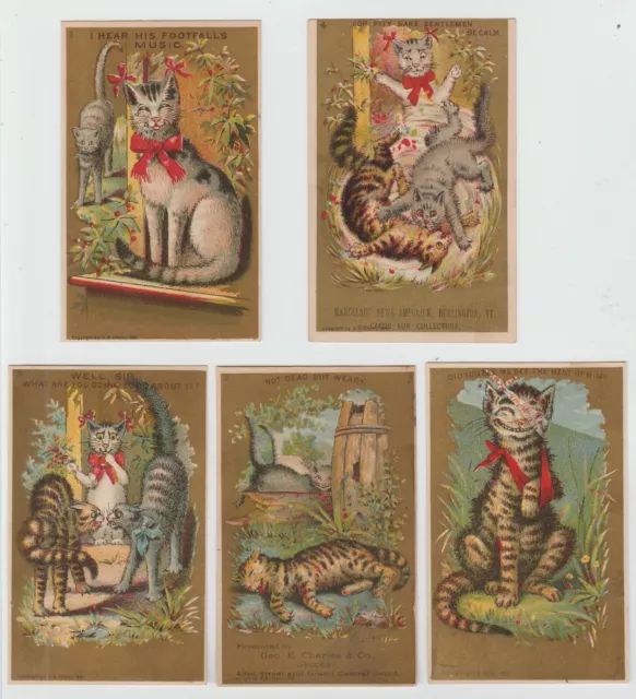 Victorian Trade Card Set 1881 My Rival the Maltese Cat Fight Series A.B. Seeley