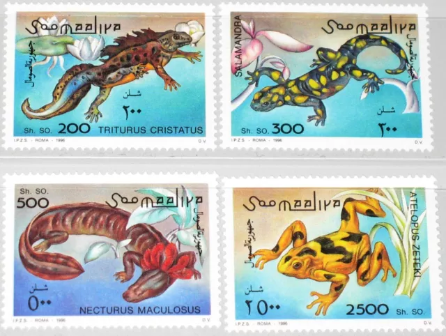 SOMALIA 1996 580-83 Lurche Amphibians Molch Salamander Tiere Fauna Animals MNH