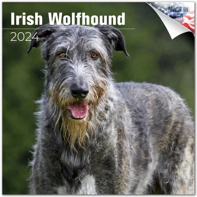 2023 2024 IRISH Wolfhound Calendar Dog Breed Monthly Wall Calendar