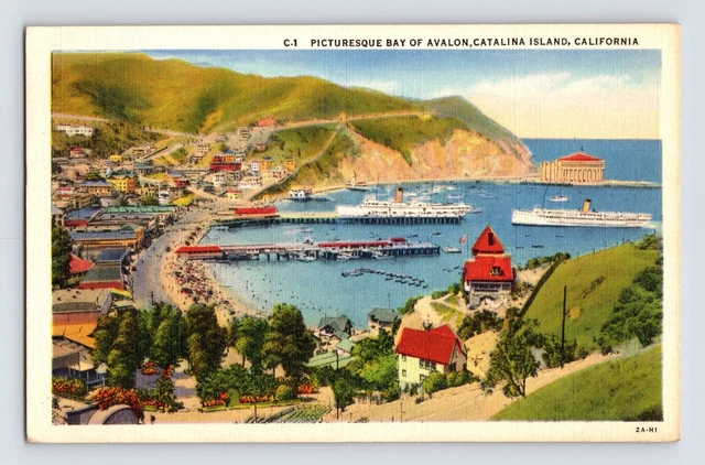 Postcard California Santa Catalina CA Aerial Harbor View 1940s Unposted Linen