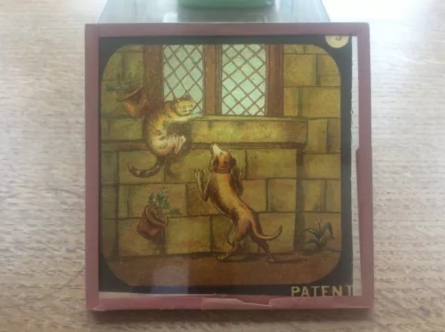 Antique Victorian Magic Lantern Glass Slide Dog chasing Cat Church Window Z