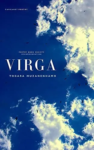 Virga by Togara Muzanenhamo Book The Cheap Fast Free Post