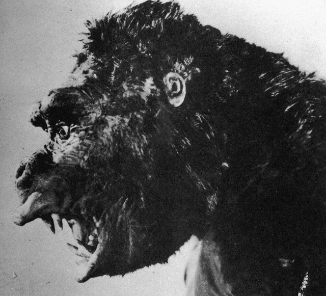 RARE STILL THE ORIGINAL KING KONG PRODUCTION closeup head shot EUR 10