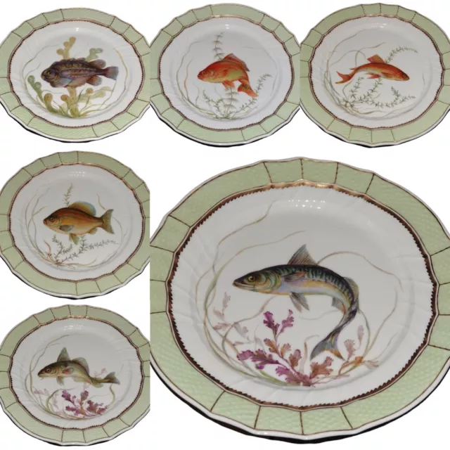Royal Copenhagen set of 24 large fish plates in dinner plate size Flora Danica