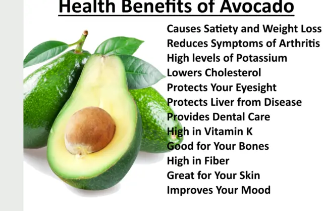 Organic Avocado fruit ground powder pure natural premium quality grade A Ceylon 2