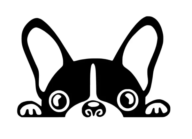 French Bulldog Decal Sticker Quality Cute Boston Frenchie Dog Car Window Vinyl